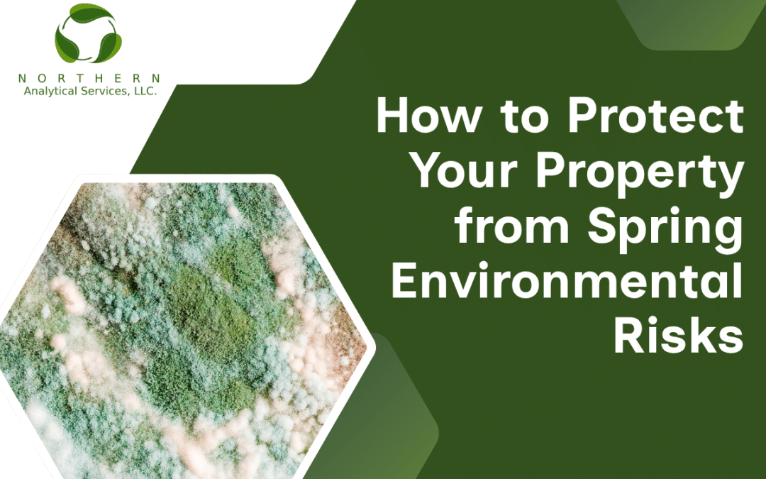 How to Protect Your Property from Spring Environmental Risks