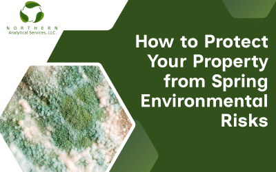 How to Protect Your Property from Spring Environmental Risks